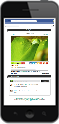 Bild Smartphone Gewinnspiel App